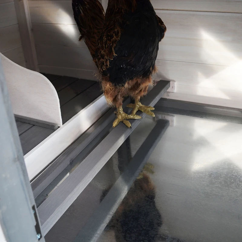 PawHut Pollaio da Giardino Prefabbricato in Legno 196x76x97cm, Bianco e Grigio