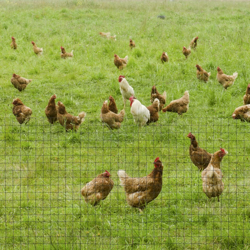 PawHut Rete Metallica da Giardino con Rivestimento in PVC per Recinzioni da Esterno, 500x91cm, Verde