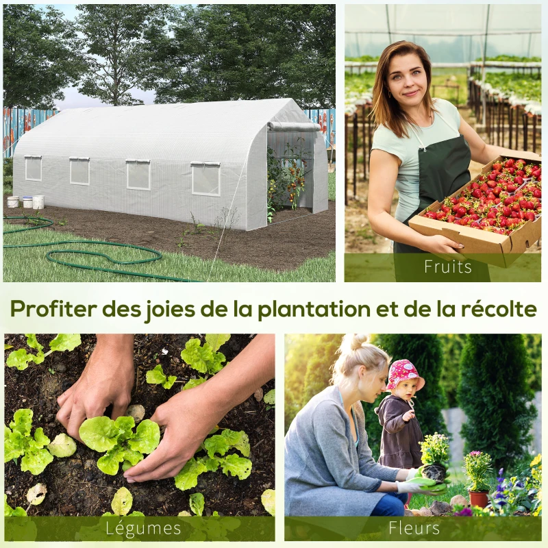 Outsunny Serre tunnel de jardin porte + 8 fenêtres enroulables métal galvanisé bâche PE haute densité métal galvanisé blanc
