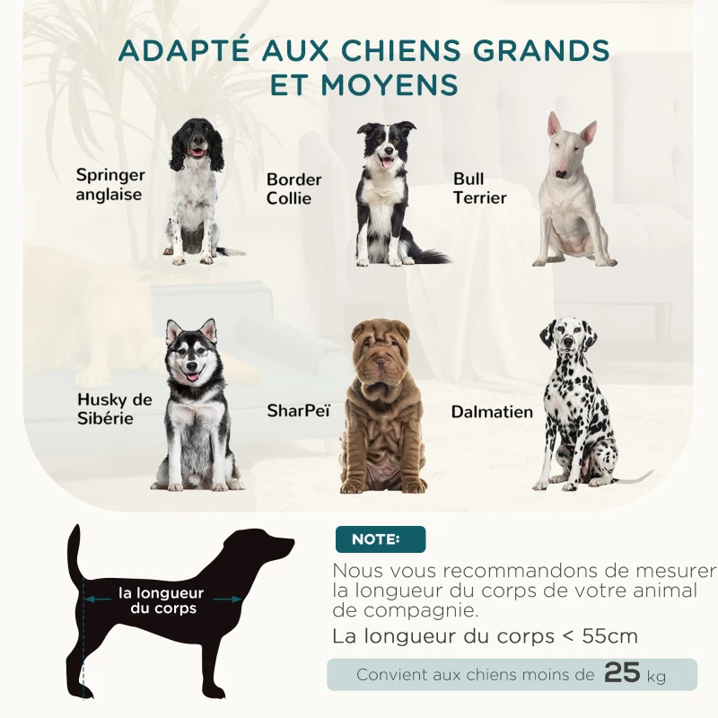 PawHut Canapé pour chien chat design scandinave coussin moelleux amovible pieds bois massif 100 x 62 x 32 cm bleu canard