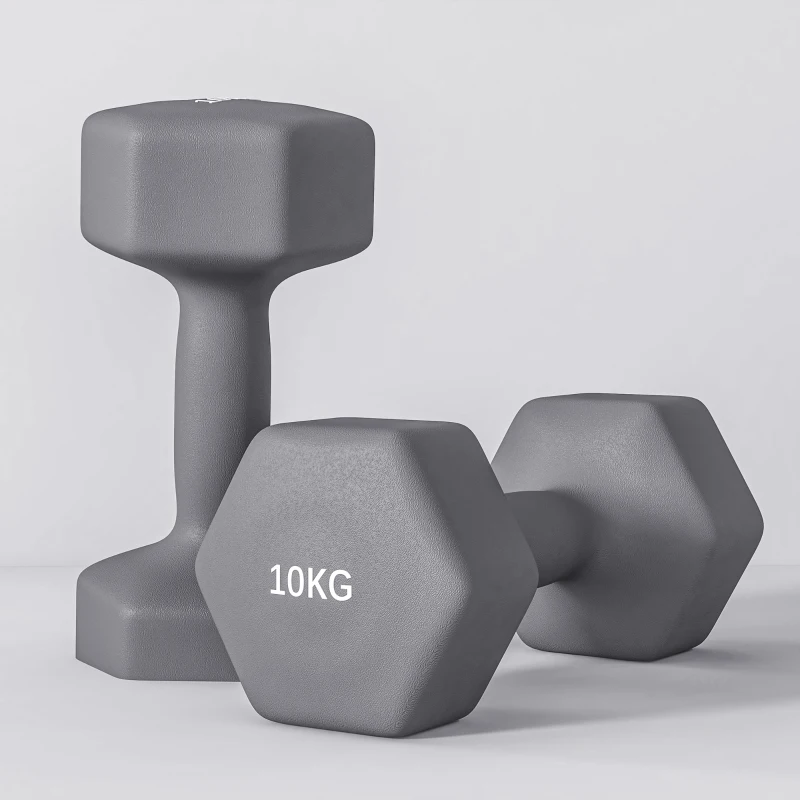 SPORTNOW Set 2 Manubri Esagonali da 2x10 kg in Metallo e Plastica con Impugnatura Antiscivolo, 26x12x12 cm, Grigio