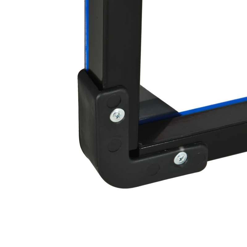 SPORTNOW Canasta de Baloncesto de Pared Aro de Baloncesto para Exterior 113x61x73 cm Azul y Negro