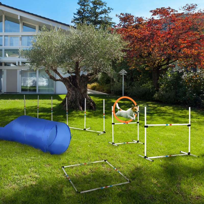 PawHut Agility Výcvikové Zařízení pro Psy, Sada Agility, 4-dílná sada