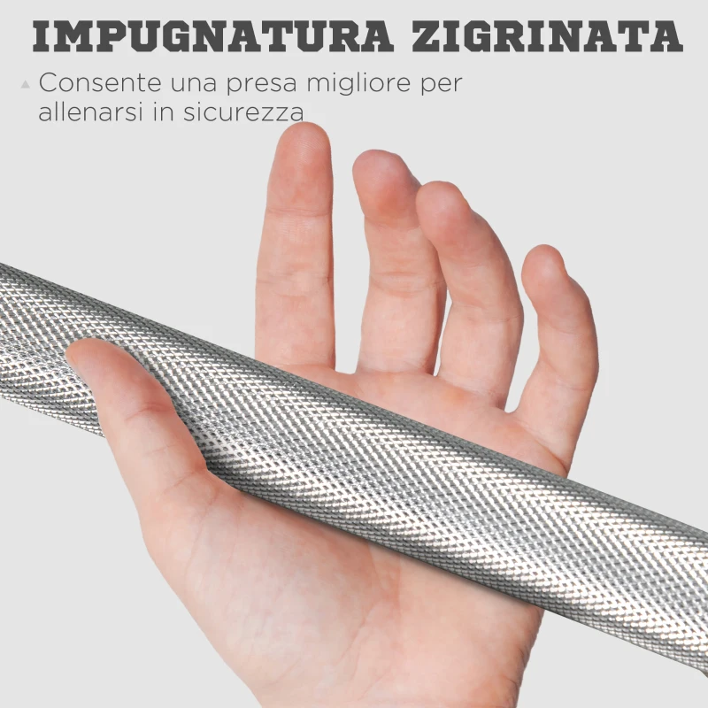 SPORTNOW Bilanciere da Squat, Stacchi da Terra e Sollevamenti, per Pesi da Ø2.5 cm da 100kg mx, in Acciaio, Ø2.5x170 cm, Argento