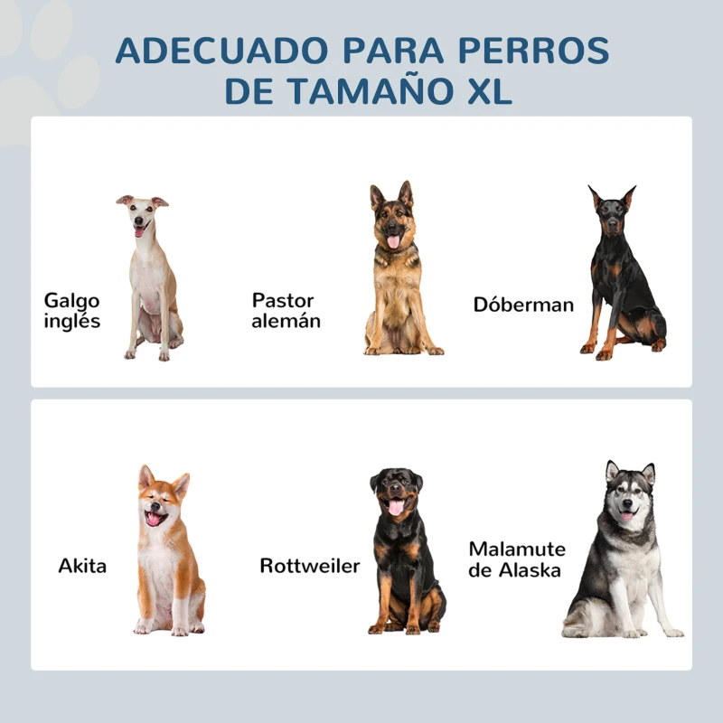 PawHut Cuencos para Perros con 2 Tazones de Acero Inoxidable y Espacio de Almacenaje Oculto 60x30x41 cm Blanco