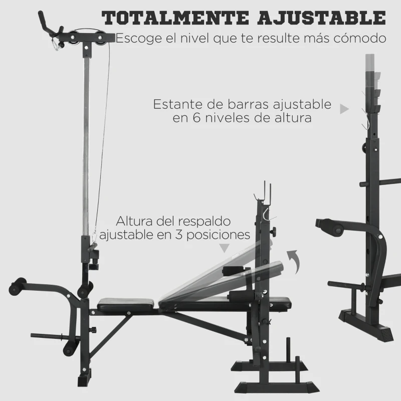 HOMCOM Banco de Pesas Multifuncional Ajustable para Entrenamiento de Cuerpo Entero 180x134x200 cm Plata y Negro