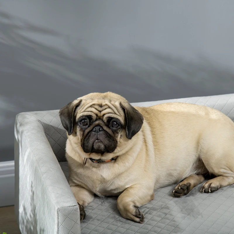 PawHut Divanetto per Cani e Gatti Stile Scandinavo con Cuscino Imbottito in Velluto e Legno, 64x45x36cm, Grigio