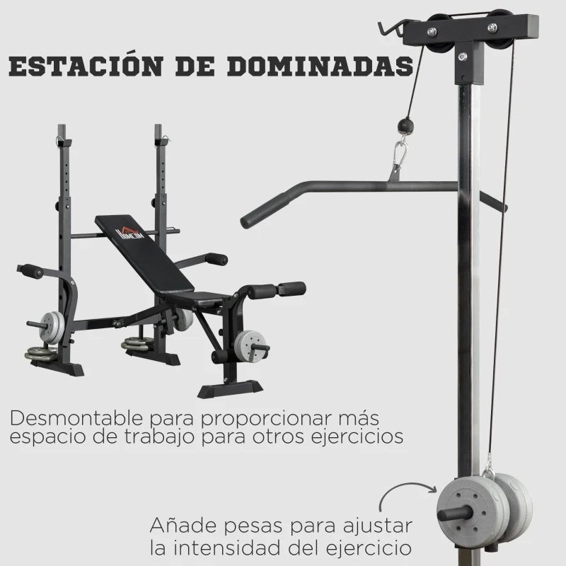 HOMCOM Banco de Pesas Multifuncional Ajustable para Entrenamiento de Cuerpo Entero 180x134x200 cm Plata y Negro