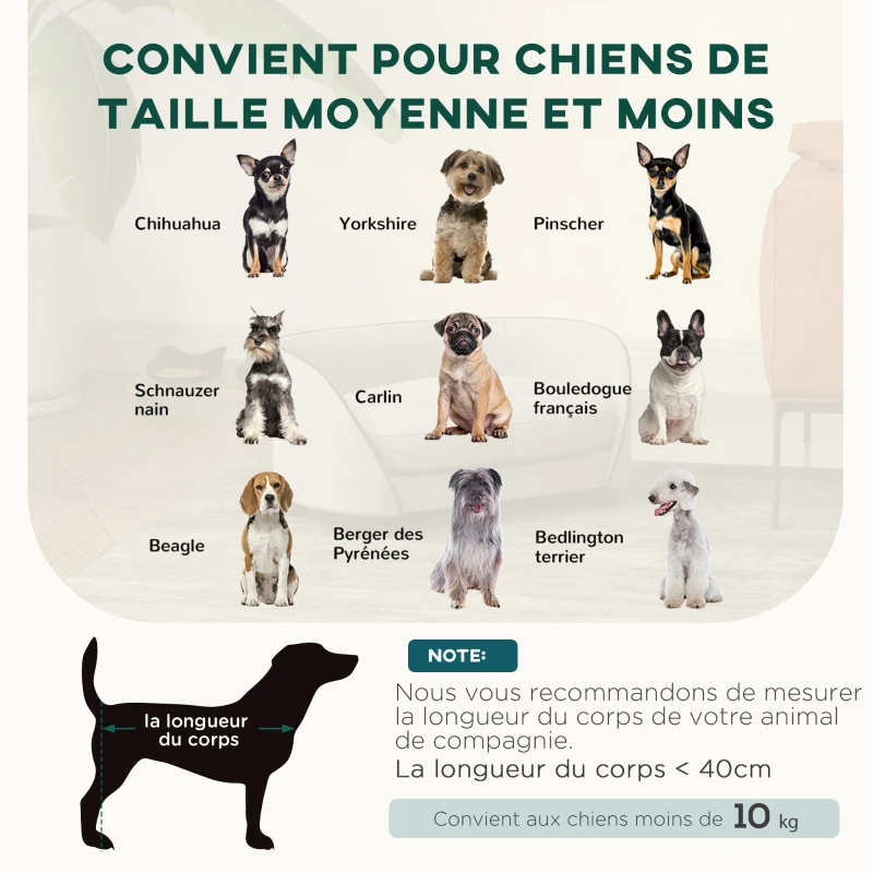 PawHut Canapé pour chien avec coussin doux housse amovible et lavable revêtement en velours néerlandais gris
