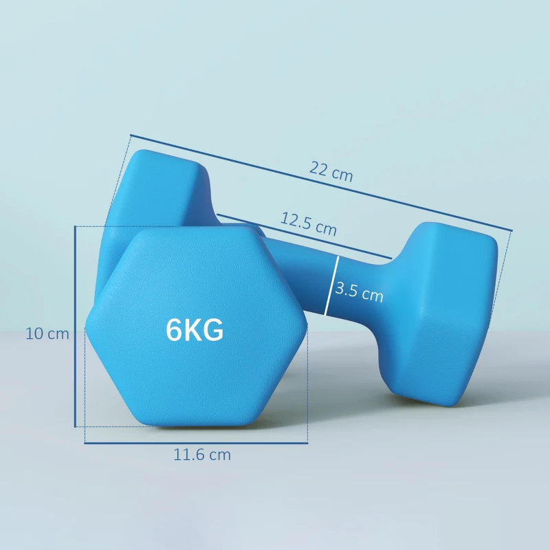SPORTNOW Set 2 Manubri Esagonali da 2x6kg in Metallo e Plastica con Impugnatura Antiscivolo, 22x10x10 cm, Azzurro