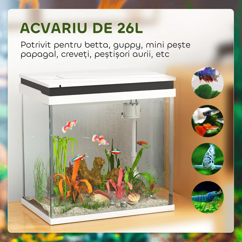 PawHut Acvariu de Sticlă pentru Pești cu Iluminare LED, Filtru și Pompă de Apă, 38x26x38 cm, Alb