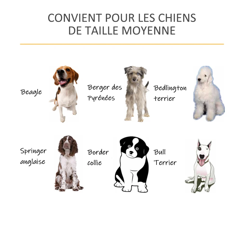 PawHut Cage pour chien moyens animaux avec coussin amovible lavable porte verrouillable avec loquet acier panneaux de particules blanc chêne gris