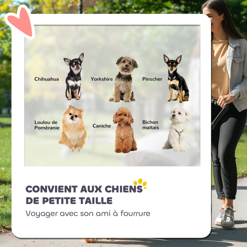 PawHut Poussette chien poussette pour chien 4 roues structure parapluie légère pliable sac de rangement charge 4 kg gris clair