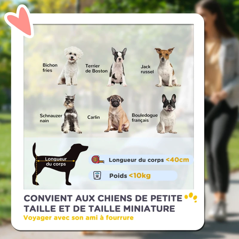 PawHut Poussette pour chien 4 roues légère et pliable, coussin lavable, laisse de sécurité, fenêtre à mailles multiples, gris