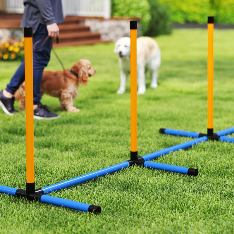 PawHut Agility Set voor Honden 9-delig - Complete Behendigheidstraining Kit voor Spel en Training
