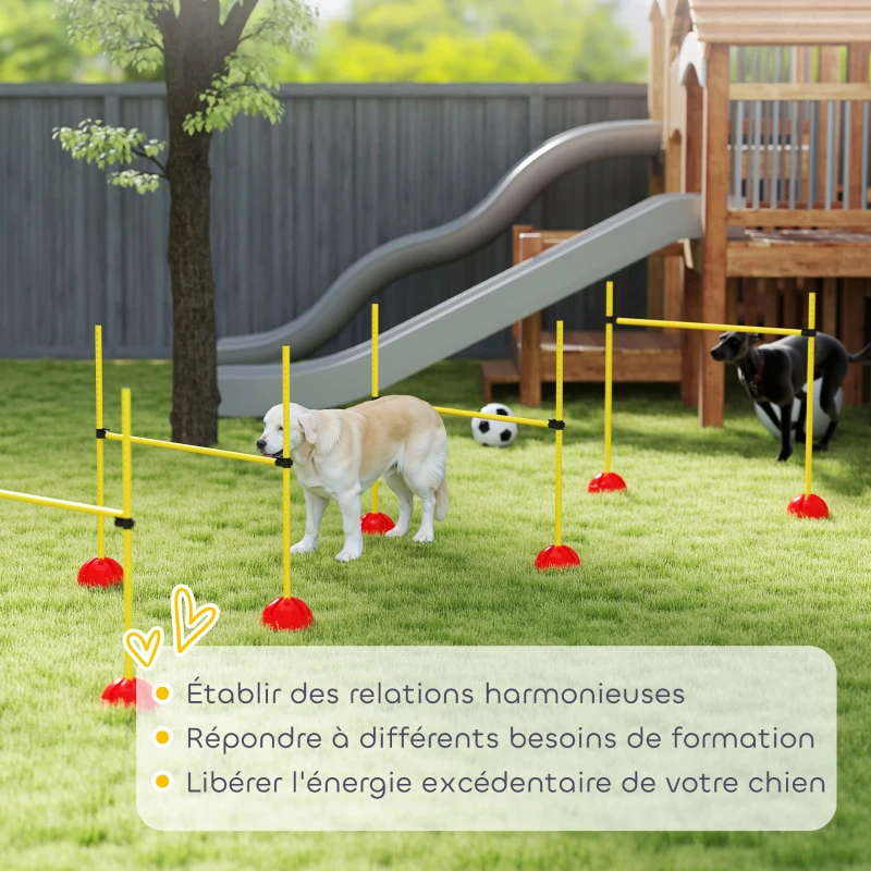 PawHut Kit d'équipement d'agilité pour chien avec 4 haies de saut réglables en hauteur, sac de transport, jaune et orange