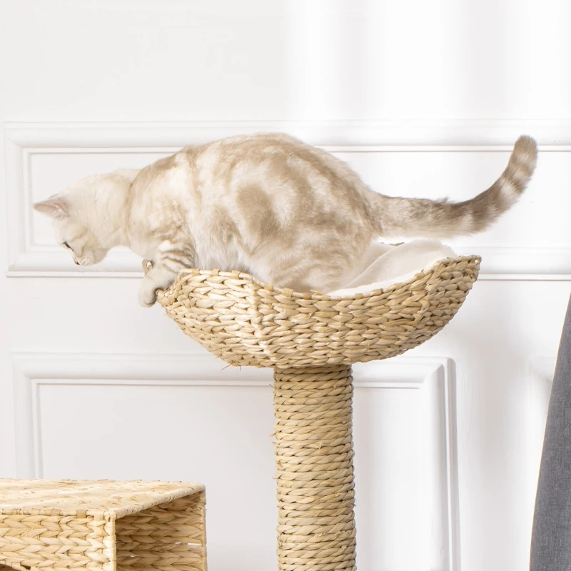 PawHut Albero Tiragraffi per Gatti, Albero da Arrampicata per Gatti ,Altezza 100,5 cm, Centro di Attività con Pali Avvolti in Corda, Multicolore