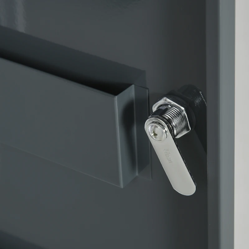 kleankin Armario de farmacia 2 estantes 3 niveles con puerta con cerradura 2 llaves 40x15x53,5 cm Blanco y Gris