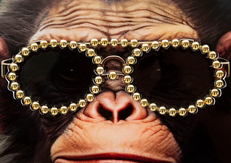 Mauro Ferretti Pictura De Perete Cu Rama Maimuta cm 52,5X2,8X72,5