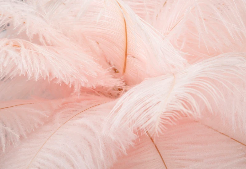 Mauro Ferretti Lampă De Masa Roz cm Ø 40X55