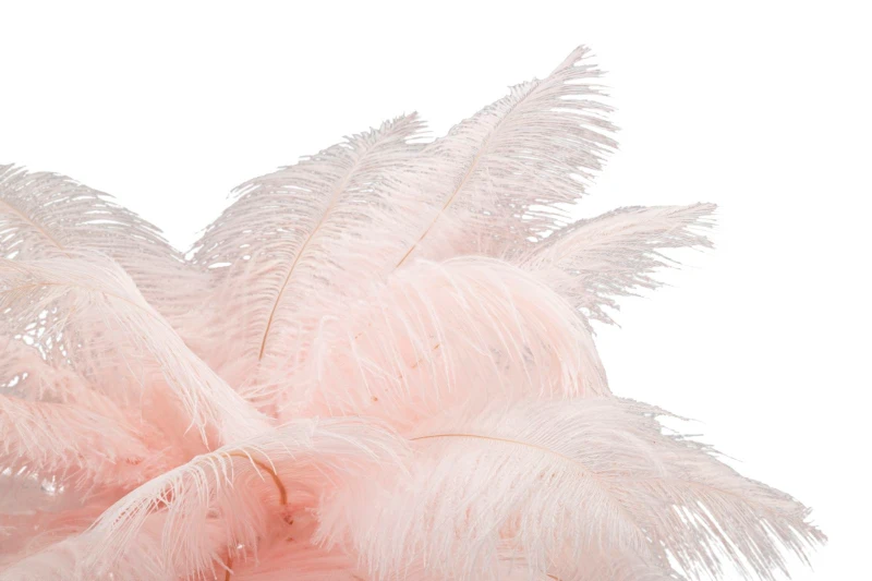 Mauro Ferretti Lampă De Masa Roz cm Ø 40X55