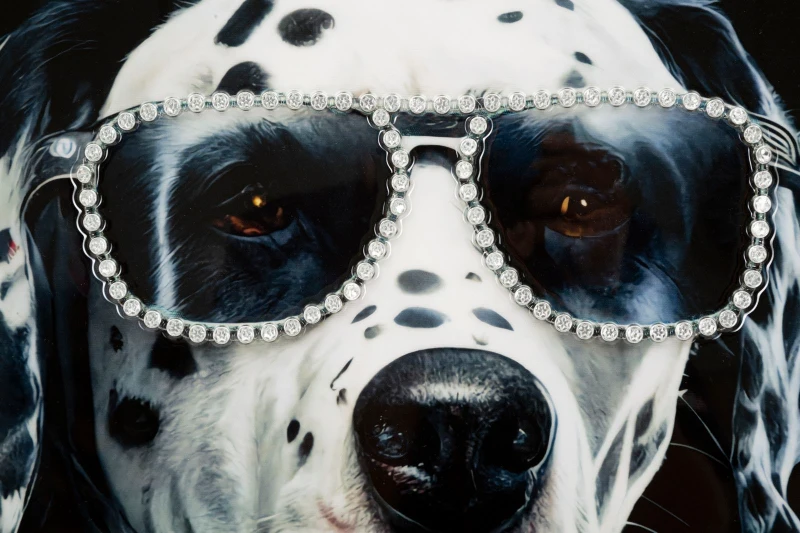 Mauro Ferretti Pictura De Perete Cu Capana De Cadru cm 53X3X73