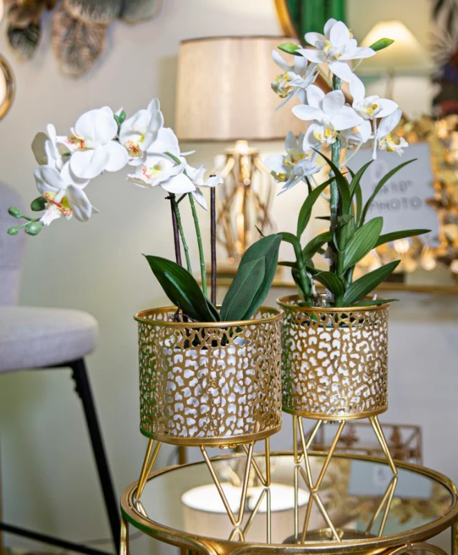 Mauro Ferretti Set Suport Vaze 2 Buc cm Ø 16X20-13X20