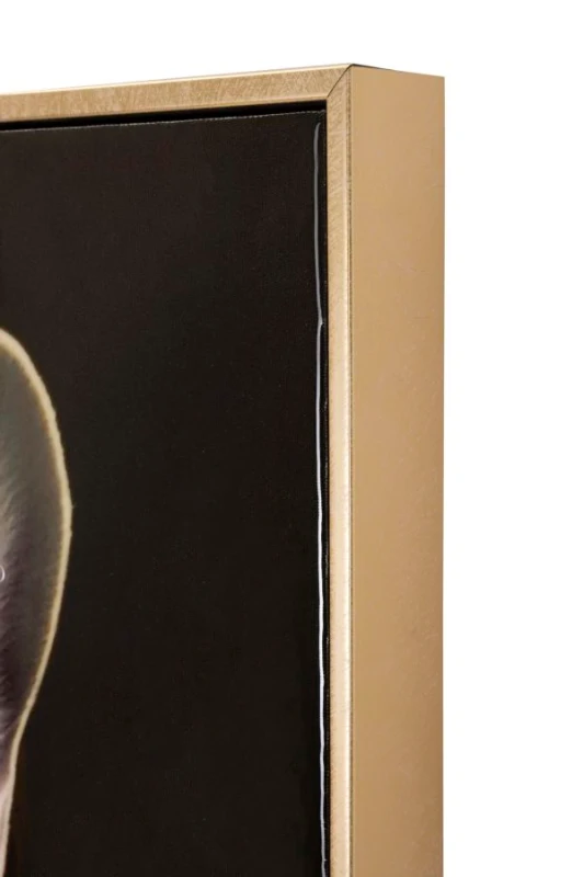 Mauro Ferretti  Pictura Pe Pânza Lacutata Bully Cu Rama cm 62X4X82