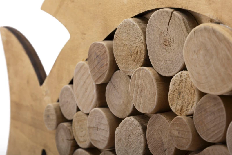 Mauro Ferretti  Peste Natura De Aternat cm 42,5X2X28,5