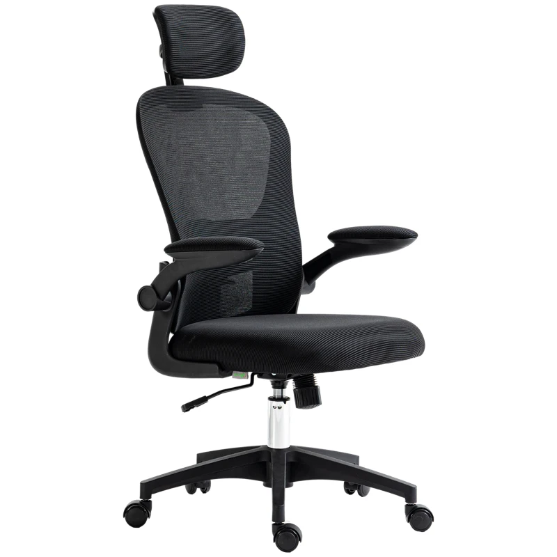 Vinsetto Multi-Adjustable Office Chair, with Lumbar Support, Headrest and Mesh Back - Black