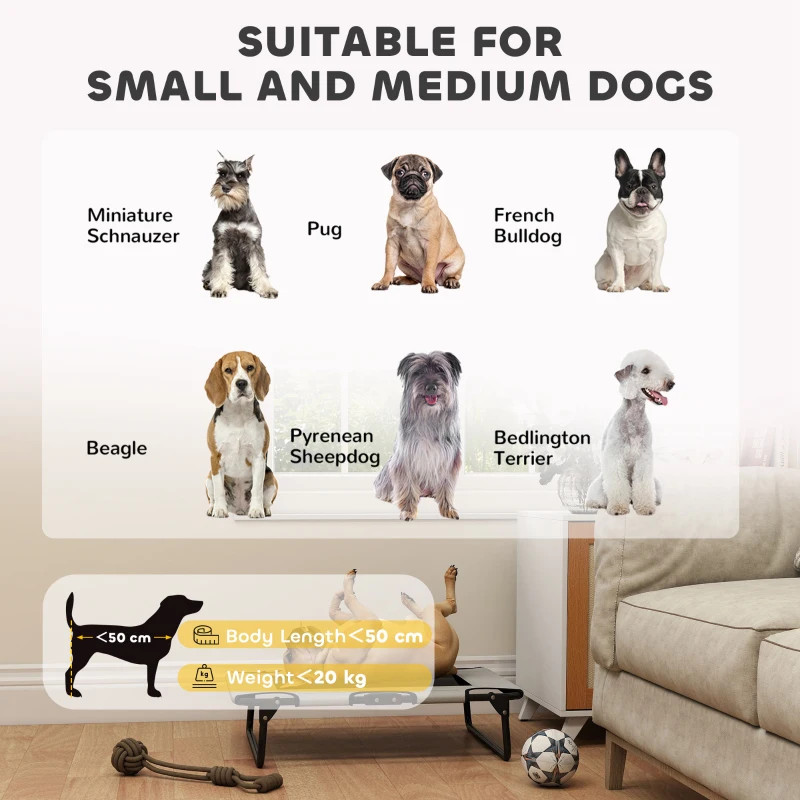 PawHut Portable Raised Dog Bed, Elevated Pet Cot with Breathable Mesh for Indoor Outdoor, for Small Medium Dogs, Light Grey