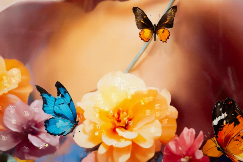 Mauro Ferretti Pictura pe Panză cu Cadru -B- cm 62x4x91