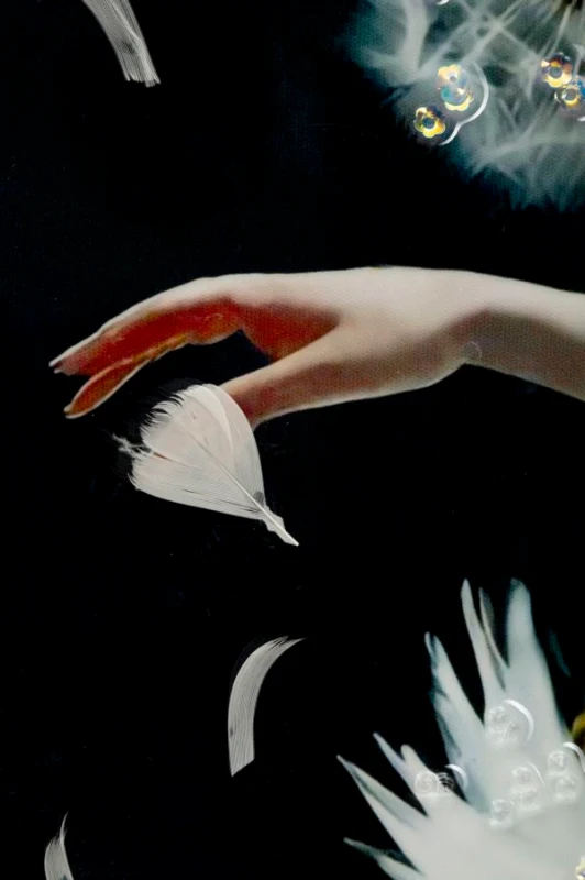 Mauro Ferretti Pictura pe Pânză Dans Lăcuit cu Cadru -B- cm 72x4x101