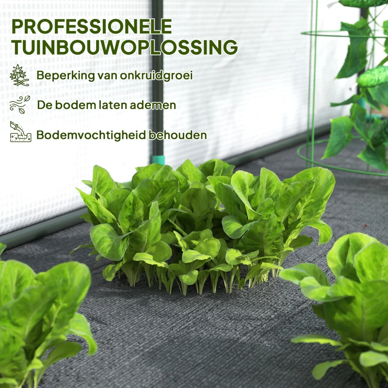 Outsunny Muurgemonteerd Kas, Toegankelijk Plantenhuis, Kunststof Zeil, 300 x 80 x 157 cm, Wit