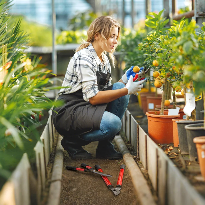 Outsunny Juego de Herramientas Jardinería de 3 Piezas con Tijeras de Jardín Cortarramas Tijeras de Podar y Mangos de Goma Ligera