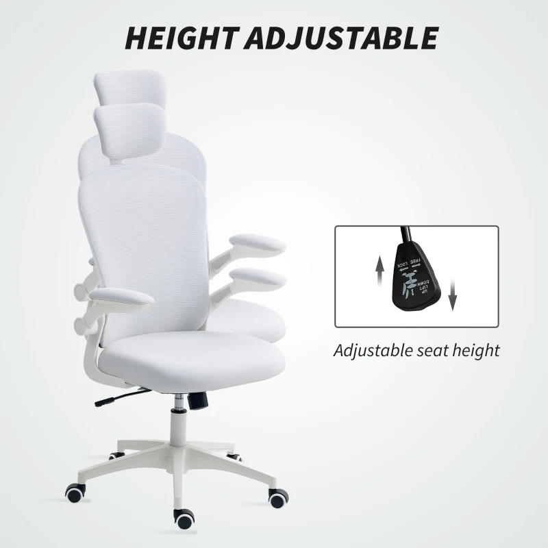 Vinsetto Multi-Adjustable Office Chair, with Lumbar Support, Headrest and Mesh Back - White