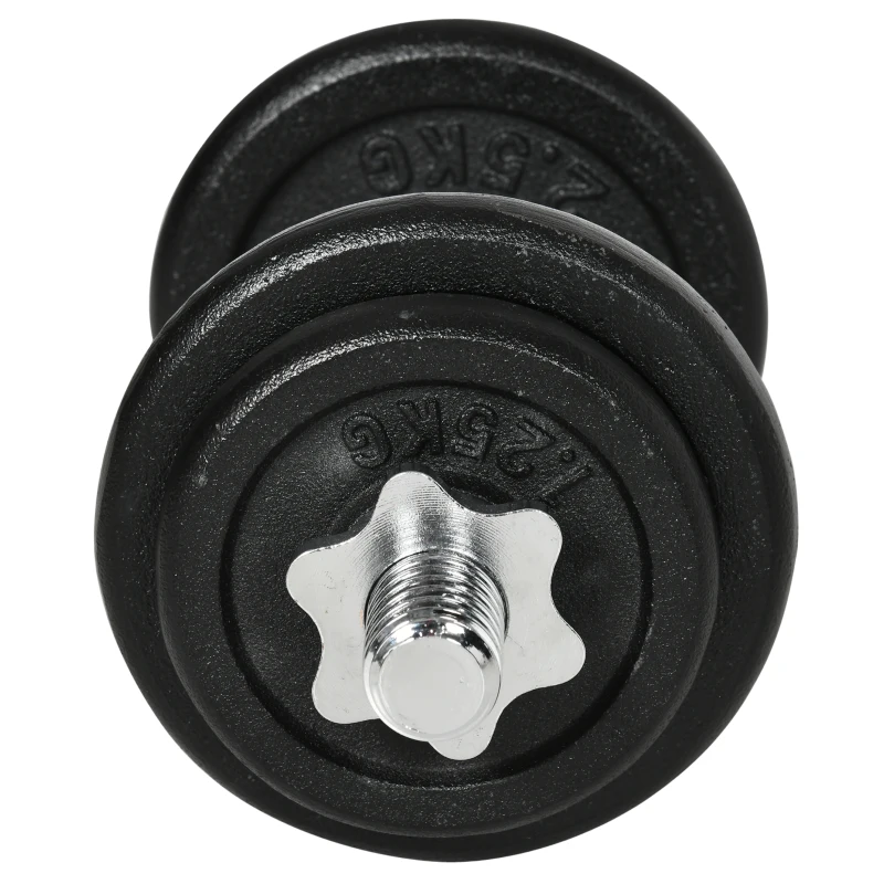 HOMCOM Kurzhantel, Langhantel, 2-in-1, 20 kg, 8 Hantelscheiben, rostfrei, Eisen, schwarz, 95 x 16 x 16Hcm