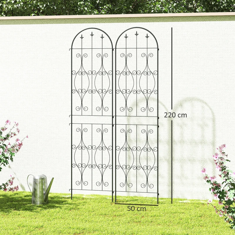 Outsunny Lot de 2 supports pour plantes grimpantes, Rankgitter für Garten, für Gemüse, Reben, Blumen, aus Metall, 50 x 220 cm, Schwarz