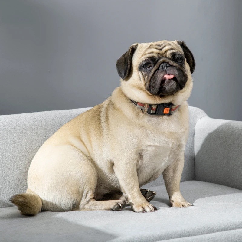 PawHut Hondenbank met zachte bekleding huisdierbank hondenbed kattenbank met houten poten(m-8)