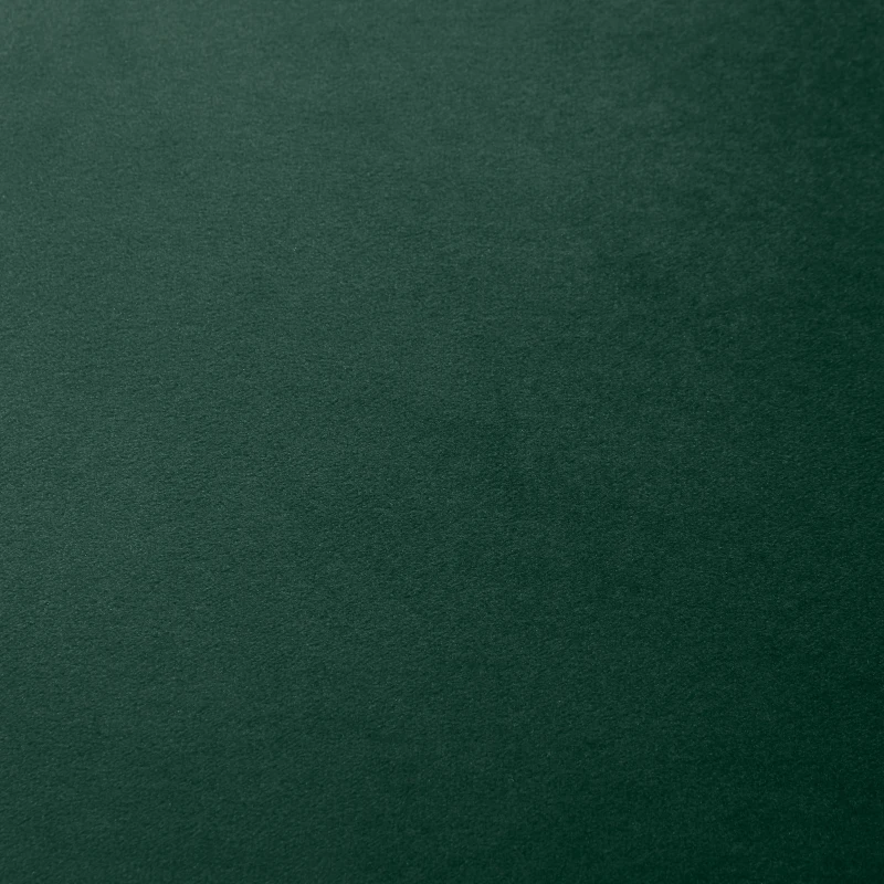 HOMCOM set 2 scaune captusite fara cotiere, 50x54x79cm