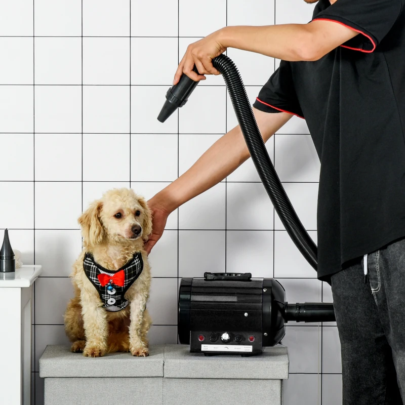 PawHut Secador de Pelo para Perros 2800W Secador para Mascotas con Temperatura y Velocidad del Viento Ajustable 3 Boquillas Tubo Flexible 2,1 m y Asa Portátil 40x16x20 cm Negro