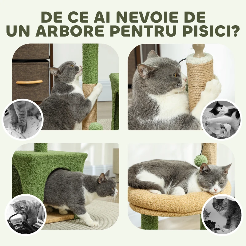 PawHut Ansamblu de Joacă pentru Pisici cu Căsuță, 2 Jucării cu Bilă și Pat Verde și Maro