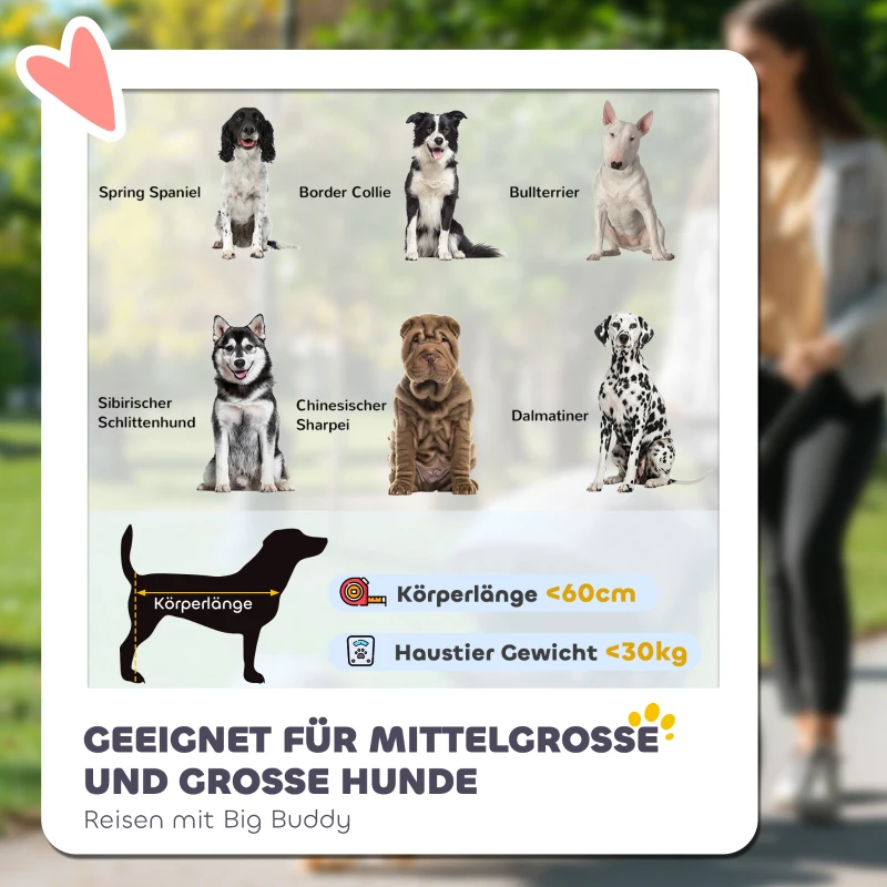 PawHut Hundebuggy, faltbar, aufklappbar, Liegekissen, Stahlrahmen, Rot/Schwarz(m-4)