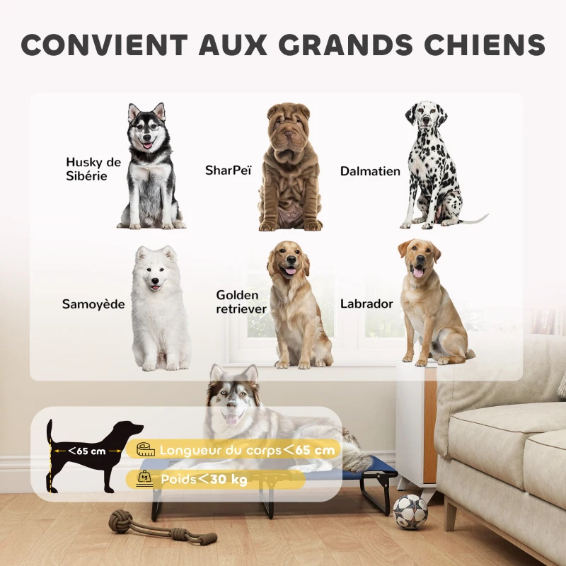 PawHut Lit surélevé pour chiens pliable rafraîchissant, lit de camp pour animaux en maille respirante 107x61x20cm bleu foncé