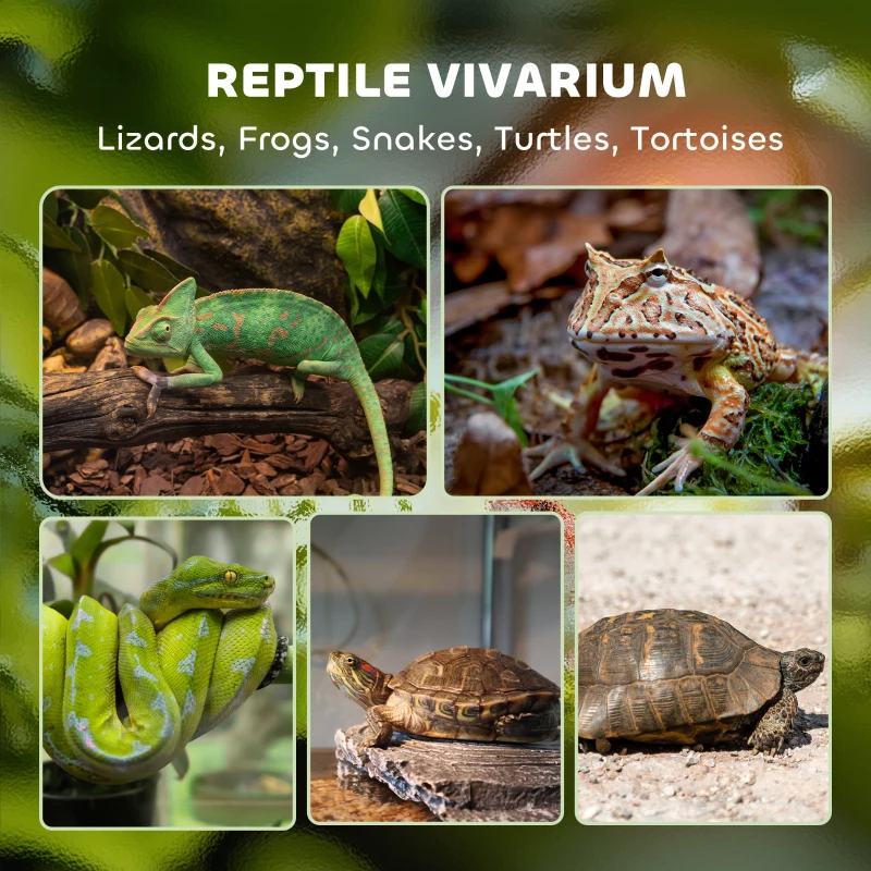 PawHut Glazen Terrarium voor Reptielen, verhoogde & waterdichte bodem, knopvergrendeling(m-4)