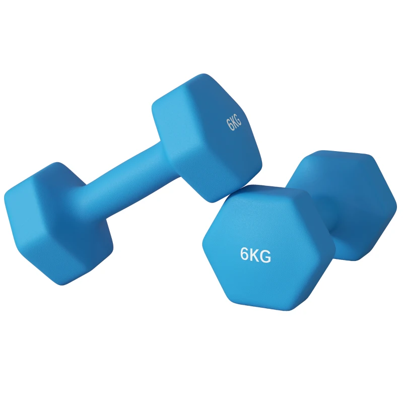 SPORTNOW Set 2 Haltères Hexagonaux de 2x6kg en Métal et Plastique avec Poignée Antidérapante, 22x10x10 cm, Bleu