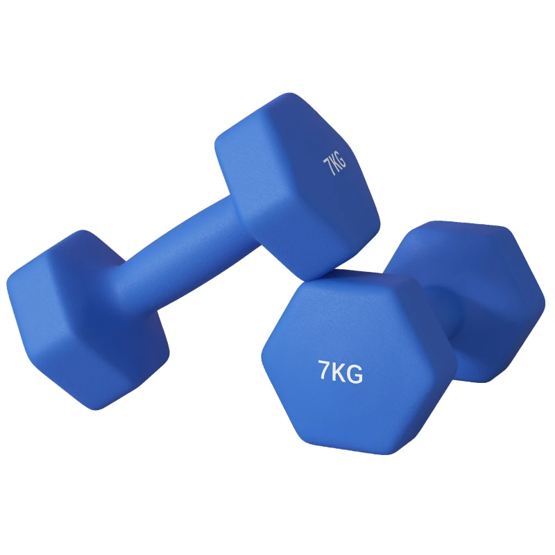 SPORTNOW Ensemble de 2 Haltères Hexagonaux de 2x7kg en Métal et Plastique avec Poignée Antidérapante, 22,5x10,5x10,5 cm, Bleu