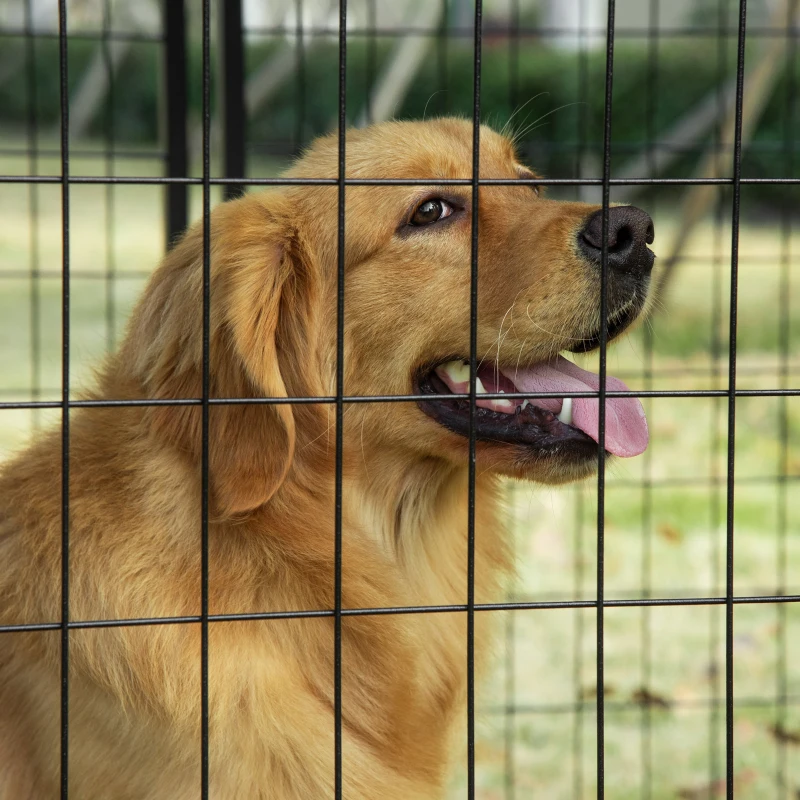 PawHut Enclos pour Chiens Pliable avec Couverture, 8 Panneaux avec Porte Verrouillable, 141x141x113cm, Noir