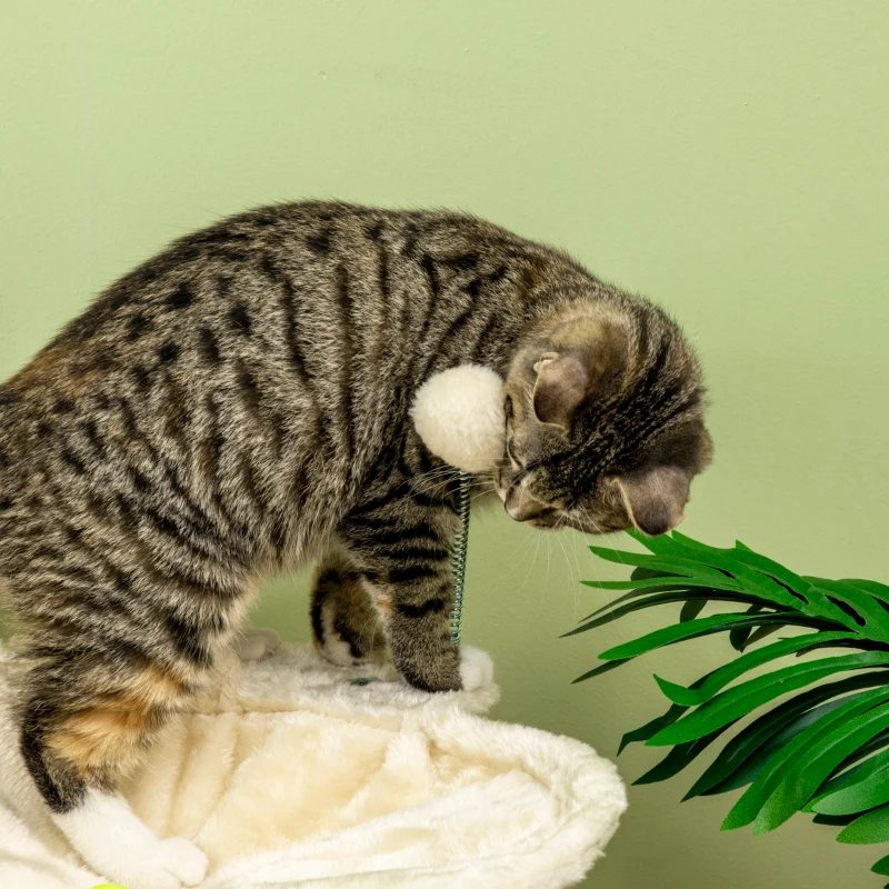 PawHut Arbre à Chat Griffoir max 5 kg avec Hamac, Balles de Jeu et Poteaux en Sisal, 53,5x53,5x90 cm, Beige