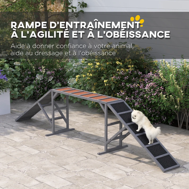 PawHut Rampe d'agilité pour chien, équipement d'agilité pour chiens, barres de sécurité surface antidérapante 325x55x69cm gris